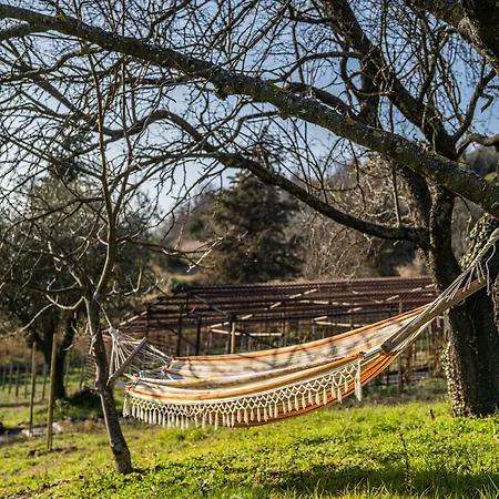 مزرعة للإقامة Terra Di غرادارا