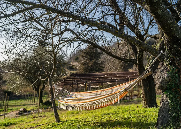 Bauernhof Terra Di Gradara